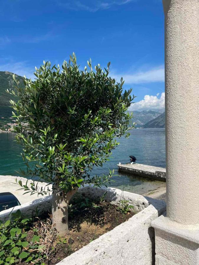 Apartamento Sea Front 171 Kotor Exterior foto